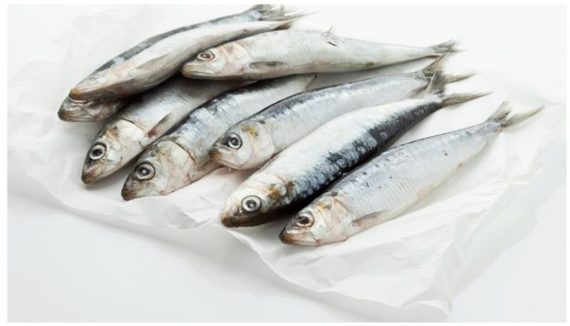 eating fish daily can keep these diseases at bay-rse- 