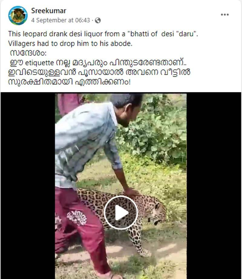 leopard video from madhya pradesh shares with fake title in facebook jje