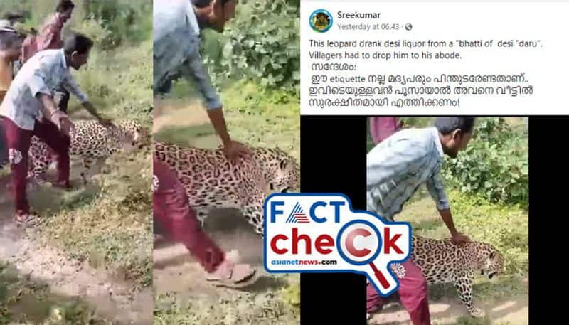 leopard video from madhya pradesh shares with fake title in facebook jje