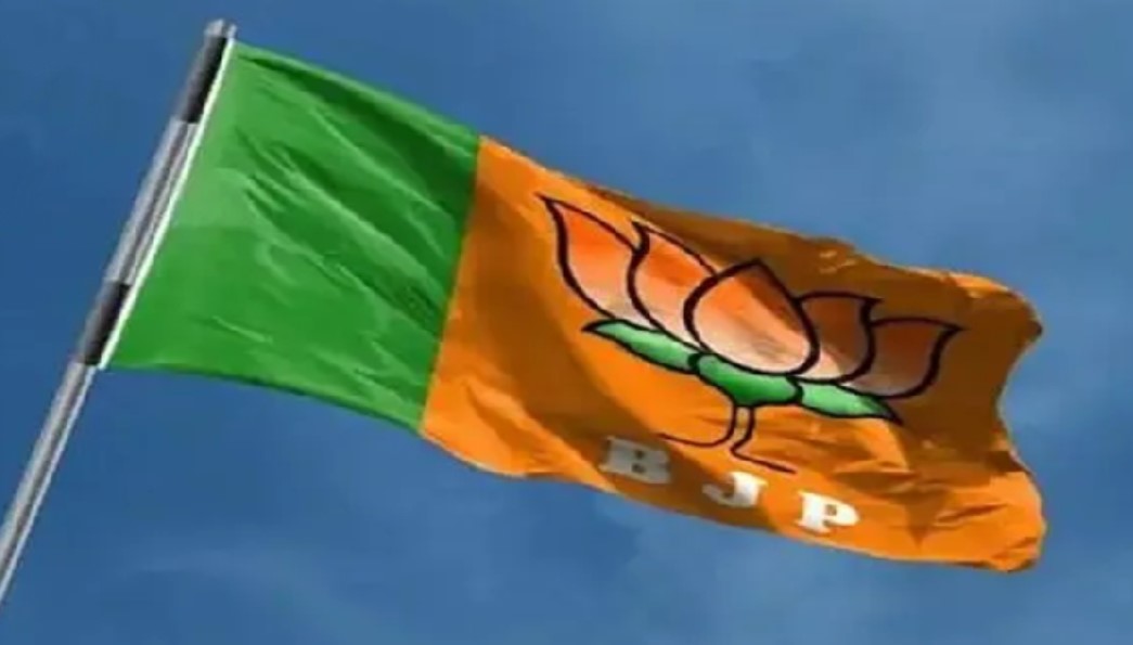 bjp flag