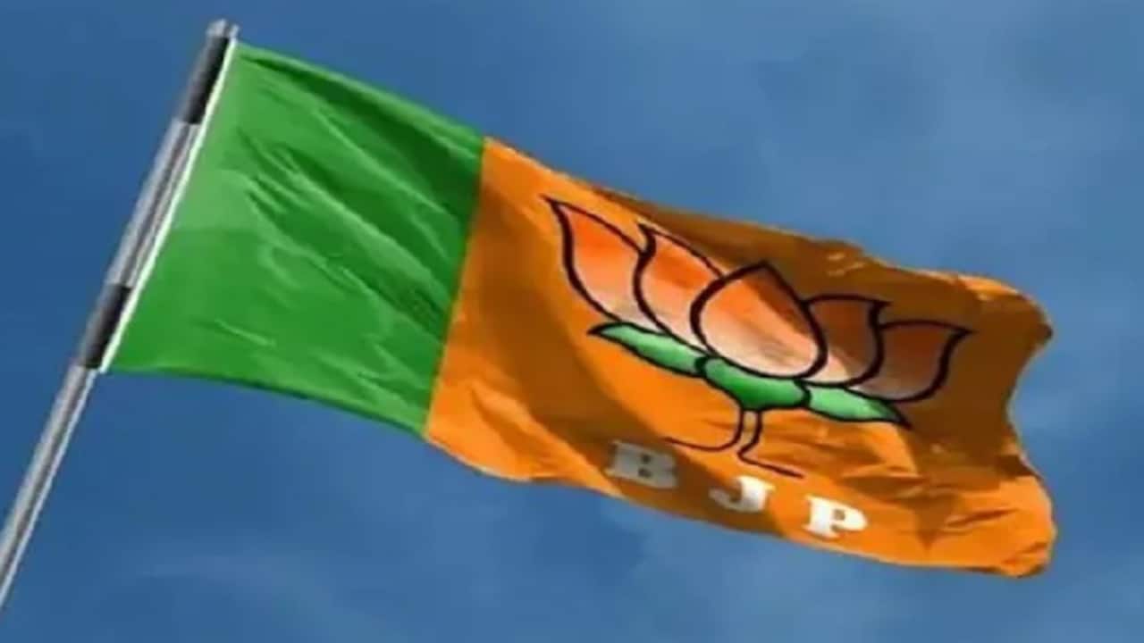 bjp flag