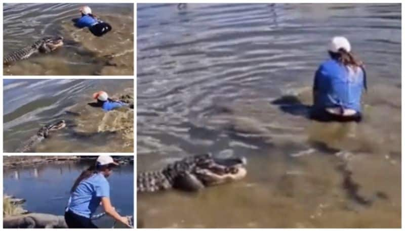 video of woman jumping into the water to catch the crocodile with a rope has gone viral bkg 