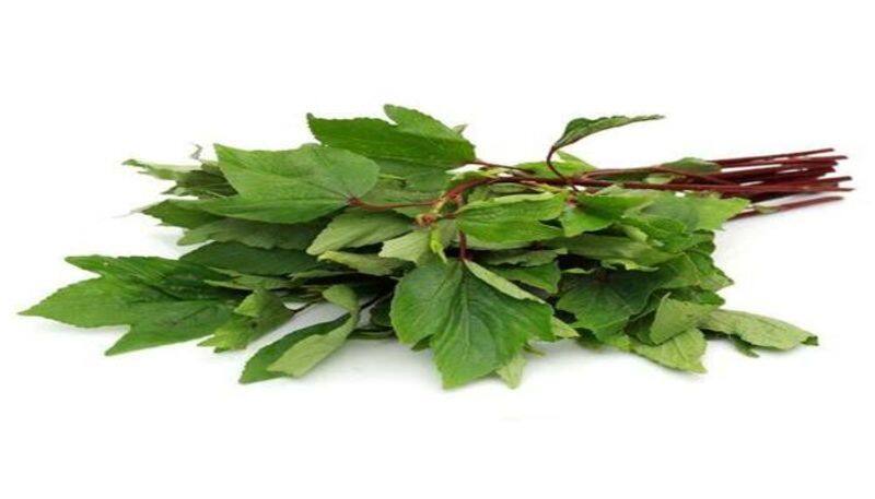 amazing health benefits of pulicha keerai in tamil mks