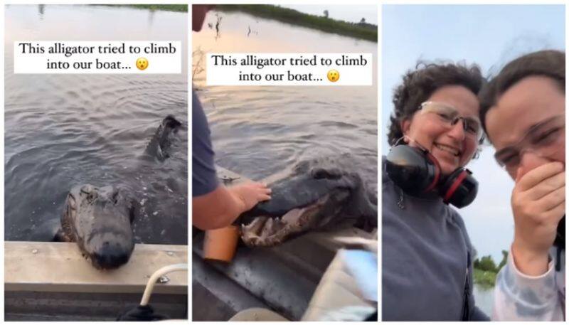 Video of passengers who are shocked to see an alligator that unexpectedly entered the boat bkg 