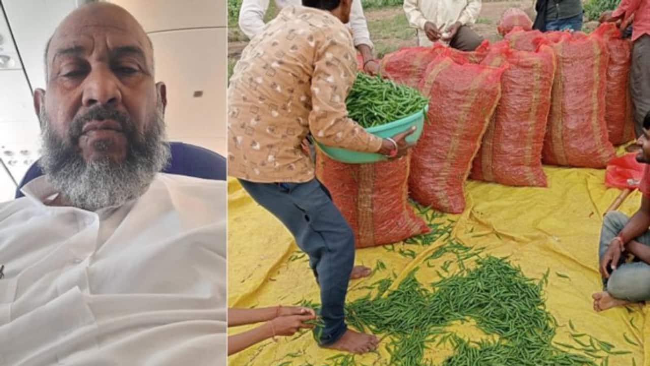 गाजीपुर के शेख अब्दुल्ला ने हजारों किसानों को दिखाई ​तरक्की की राह, इम्पलॉयमेंट बढ़ा, कमाई भी