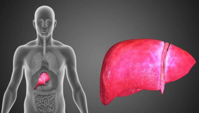 5 Food Items to include in your diet If you Suffering from fatty Liver azn