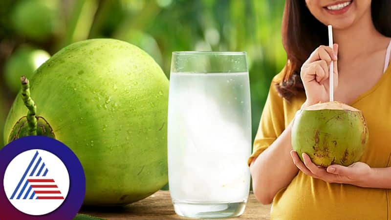 Do not drink water from coconut directly, Here is why Vin