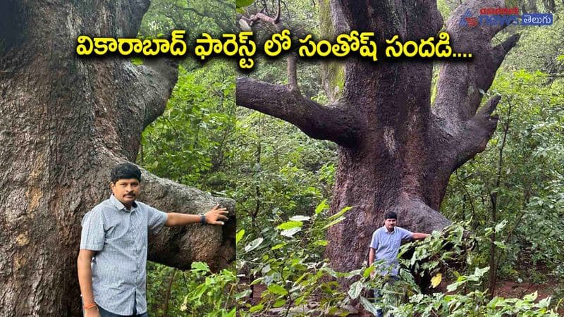 BRS MP Joginipally Santosh in Vikarabad Forest AKP