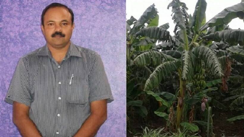 ఇంజినీర్ వదిలి వ్యవసాయం వైపు అడుగులు.. అతని సంపాదన తెలిస్తే షాకే..!