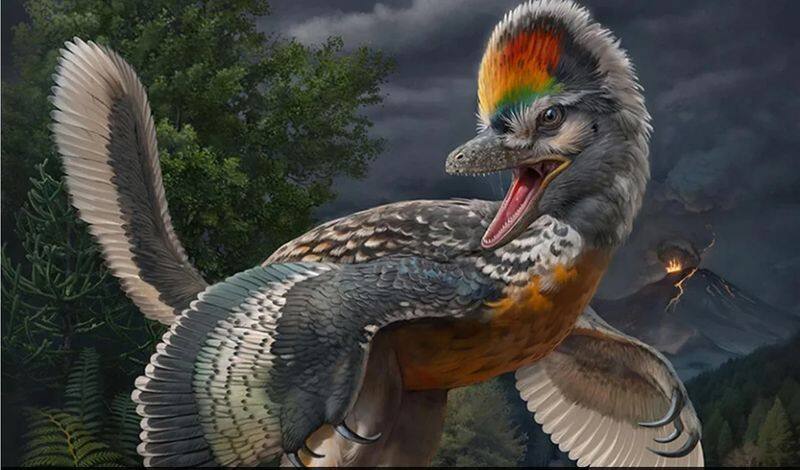 Bizarre bird-like dinosaur fossil, challenging avian evolution theories, discovered in China snt