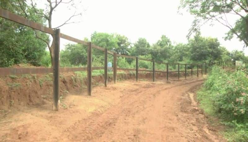 Railway Barricade Success in Stopping Elephant Menace at Bandipur in Chamarajanagara grg 