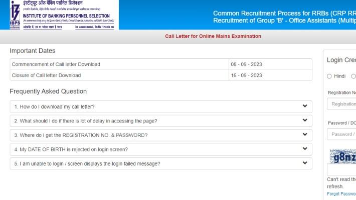 IBPS RRB Clerk Main Admit Card 2023 out 
