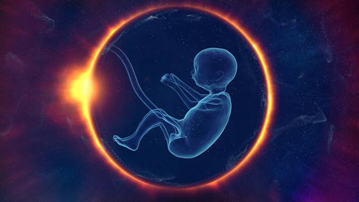 human embryo