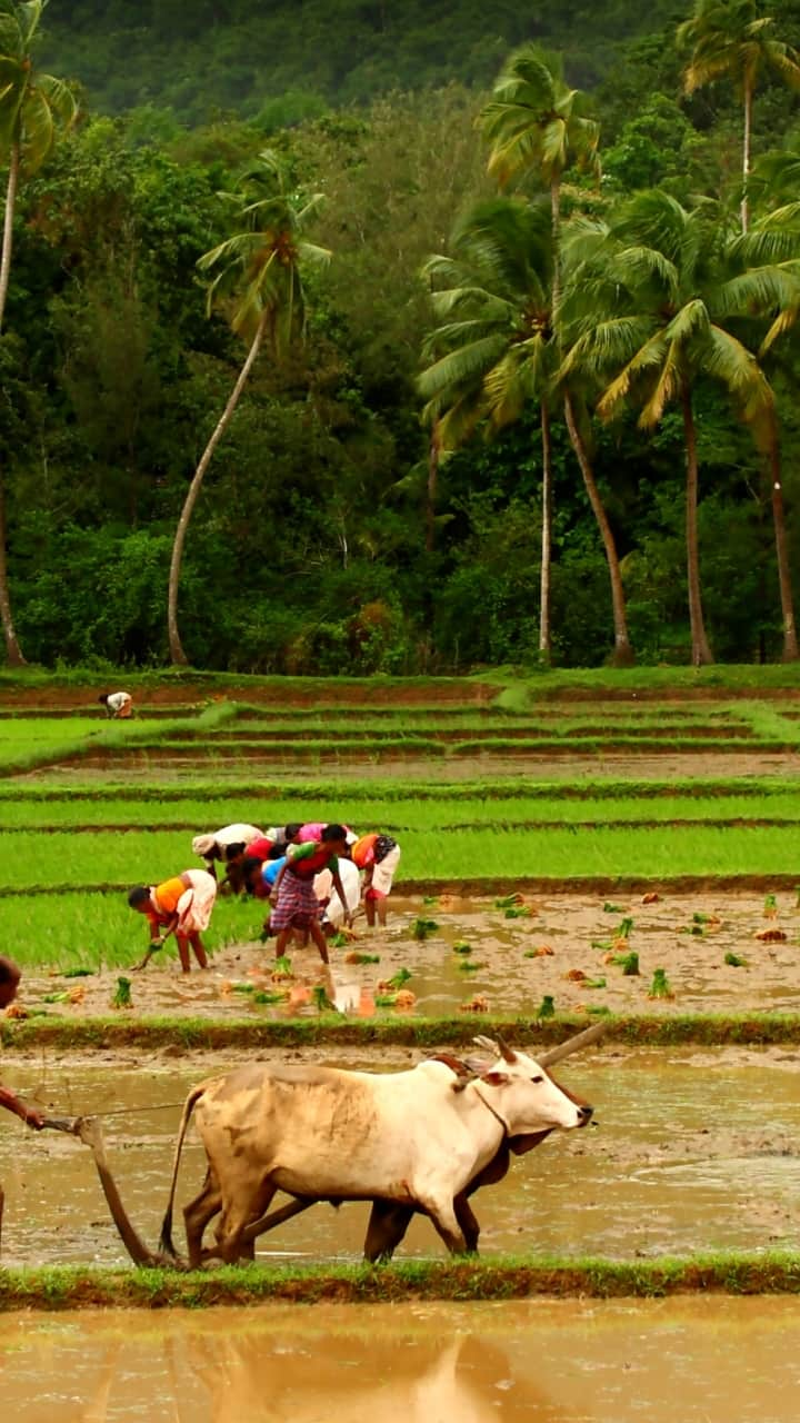 The Agriculture Budget is being tabled in the Tamil Nadu Legislative Assembly today KAK