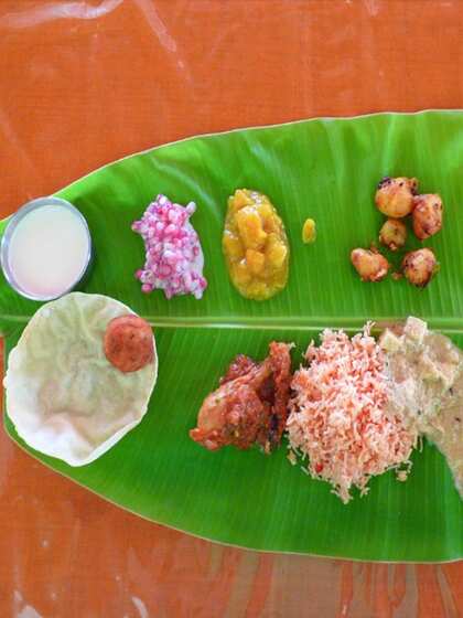 Vasudev Adiga's