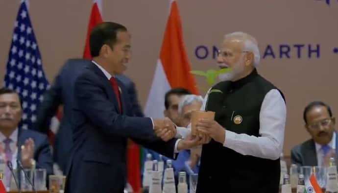 Tree of transition: G20 presidencies of 2022, 2024 hand over sapling to PM Modi | WATCH