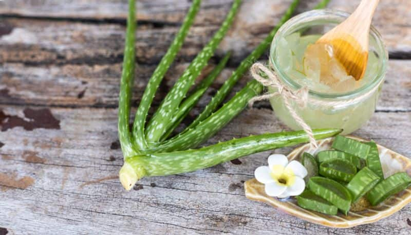 aloe vera gel for skin care azn 