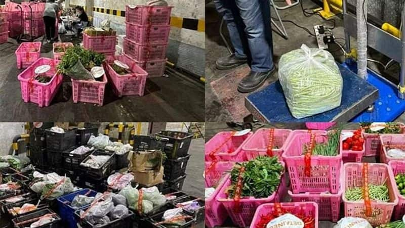 Malaysia to Singapore! 1600 kg of vegetables brought without permission were confiscated dee