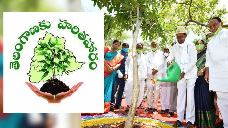 HarithaHaram is giving amazing results in forest restoration: CM KCR RMA