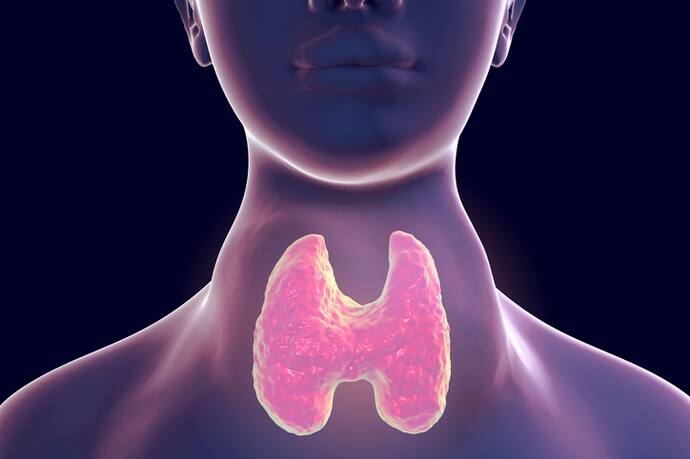 Thyroid Level