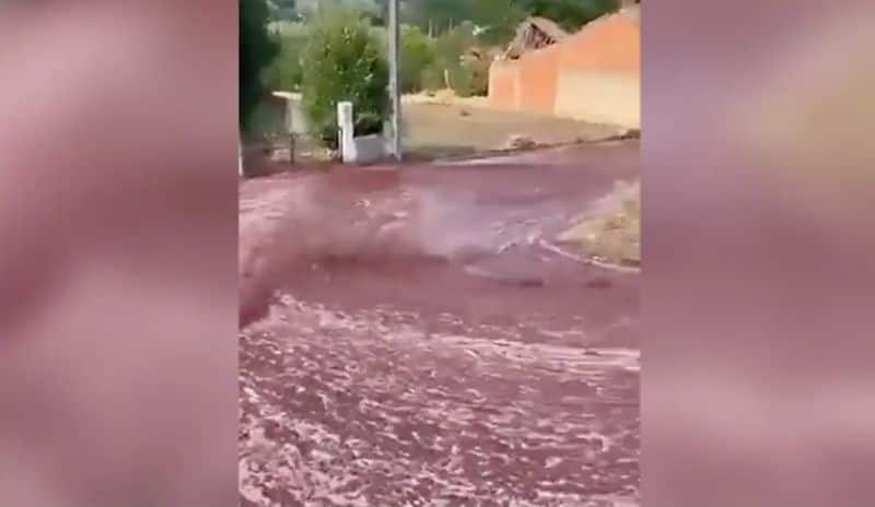 Shocking 2.2 million litres of red wine flows through Portugal town; here's what happened - WATCH snt