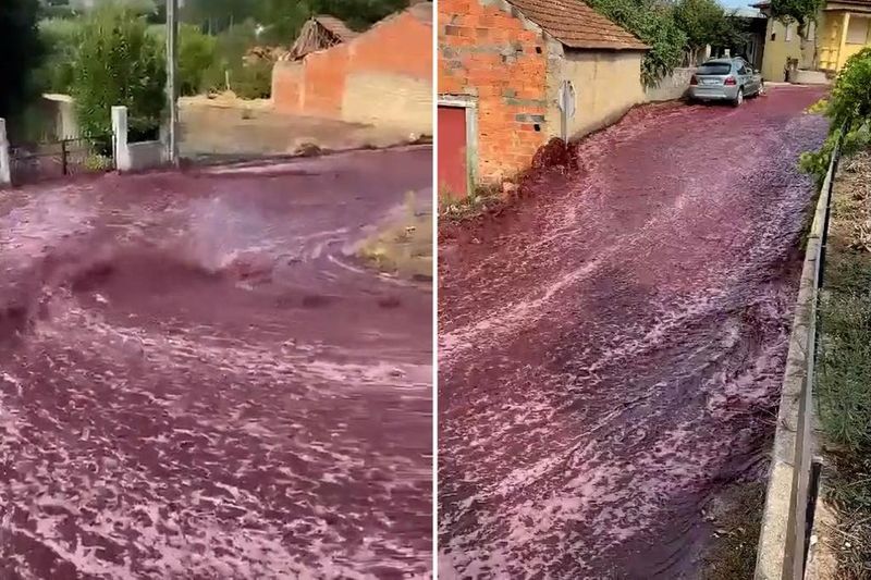 2.2 Million Litres Wine Flowed Through Portugal Town. Here's Why sgb