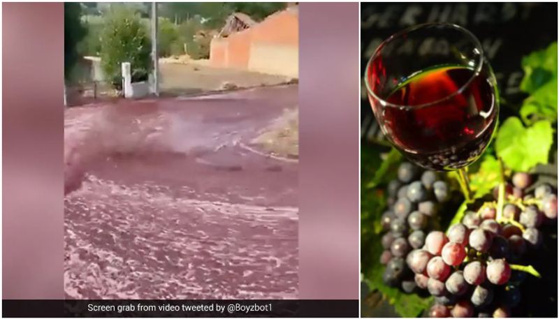 millions litres wine Flowed Through Portugal Town, viral video prm 