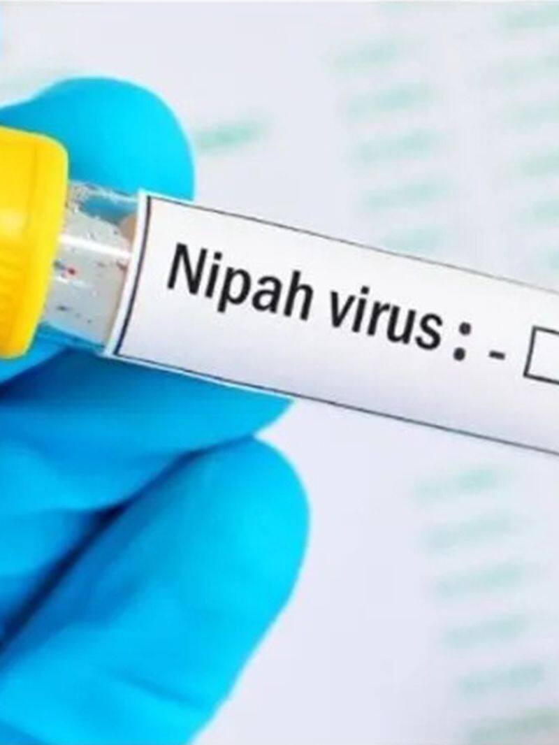 what is nipah virus and its symptoms kerela on high alert kxa 