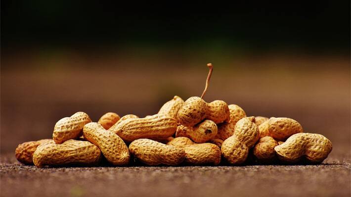 Peanut Day 