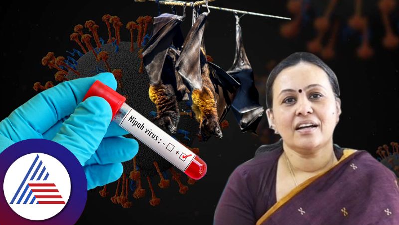 Nipah virus outbreak in malappuram government strengthens measures to prevent spread of virus