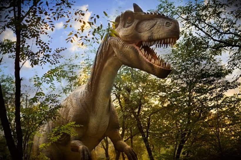Shocking! Fossil found in Jaisalmer a 180 million year old dinosaur egg, claims scientist