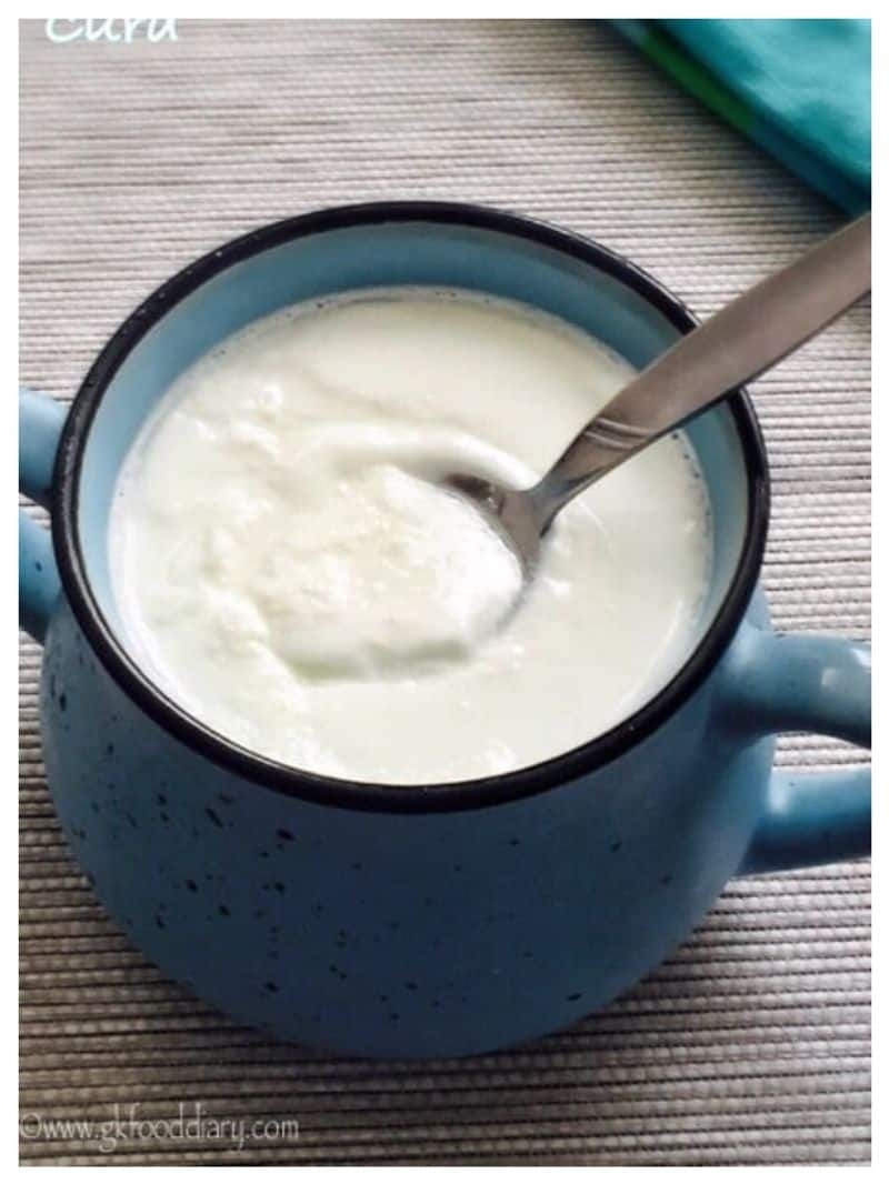 Benefits of eating curd in summer rkn