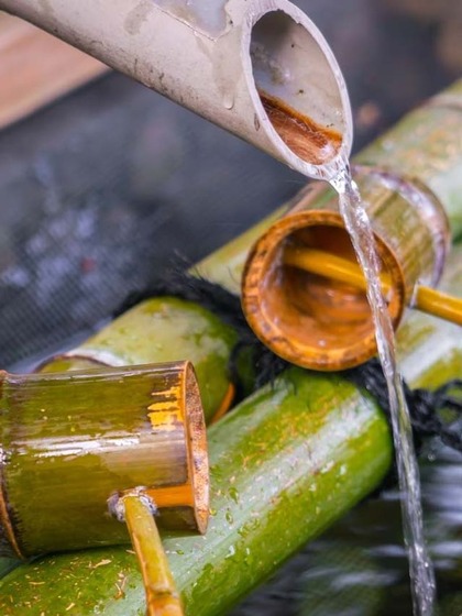 Avoid Raw Palm Sap (Toddy)
