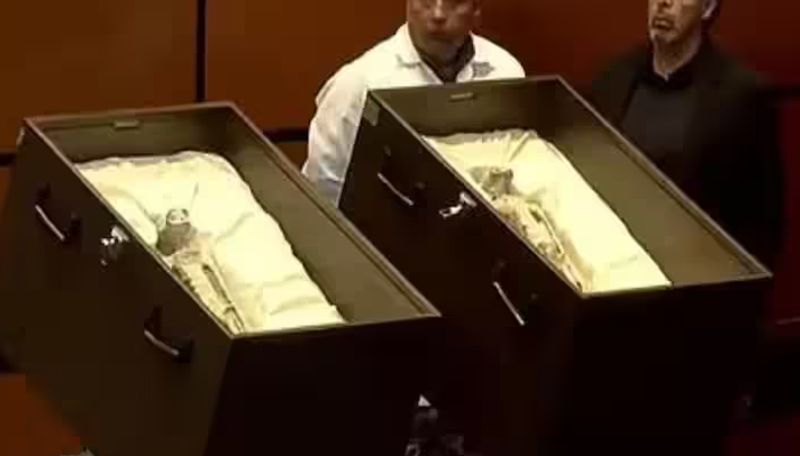 centuries old two alien like corpses found peru exhibited in mexico video went viral in internet ans