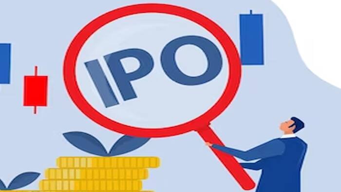 Signature Global IPO