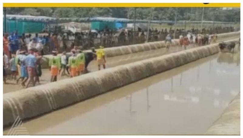 Bengaluru kambala Namma Kambala in bengaluru nbn