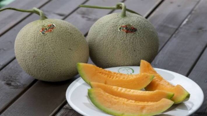 World most expensive Yubari King Melon