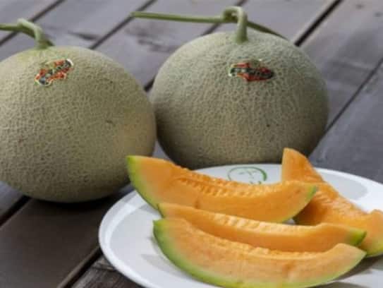 Is it right to keep melon in the fridge or not in telugu ram