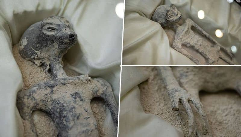 3-fingered hands, shrunken heads and more: All about 'alien' mummies that stunned the world - See Pics snt