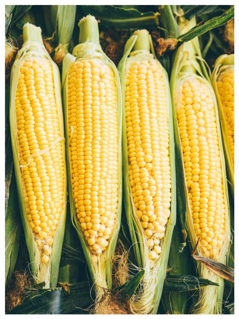 everything you need to know sweet corn benefits-rse-  