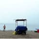 six year old girl hit by buffaloes while playing on the beach in Kozhikode sustaining rib injuries