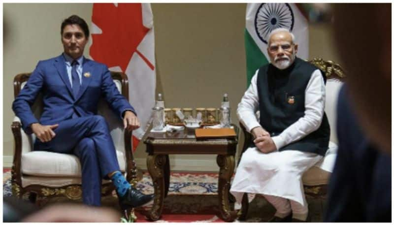 Absurd Motivated: India Junks Trudeau's Claims as Canada Expels Indian Diplomat Over Khalistan Terrorist's Killing sgb