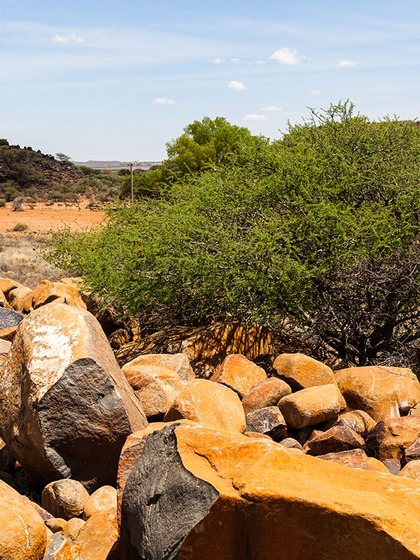 Barberton Greenstone Belt, South Africa