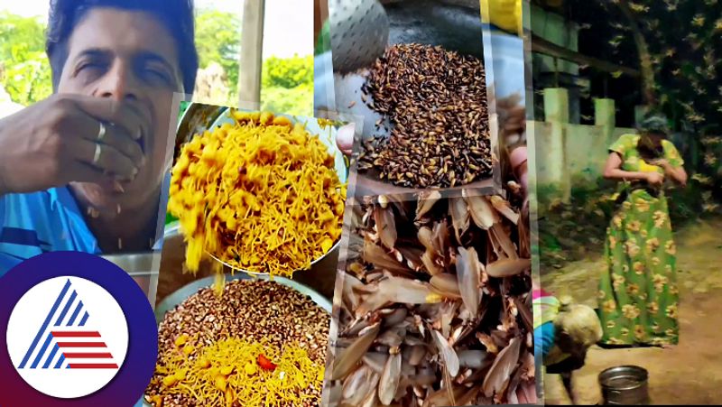 Weird food, Kerala people makes insects fry mixture, video goes viral Vin