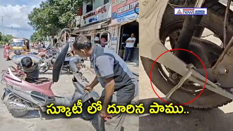 snake squeezed in a scooty In sircilla - bsb