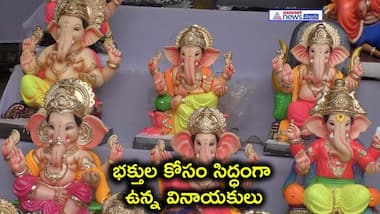 హైద్రాబాద్ వినాయకుడికి ఎన్ని రూపాలో.. విగ్రహాల ధరలు ఈ విధంగా...