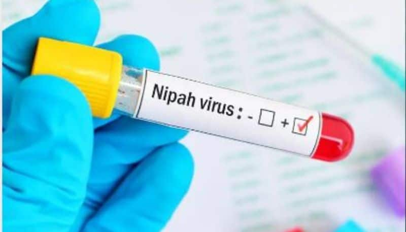 Kerala is now Nipah free, 4 patients also recovered Vin