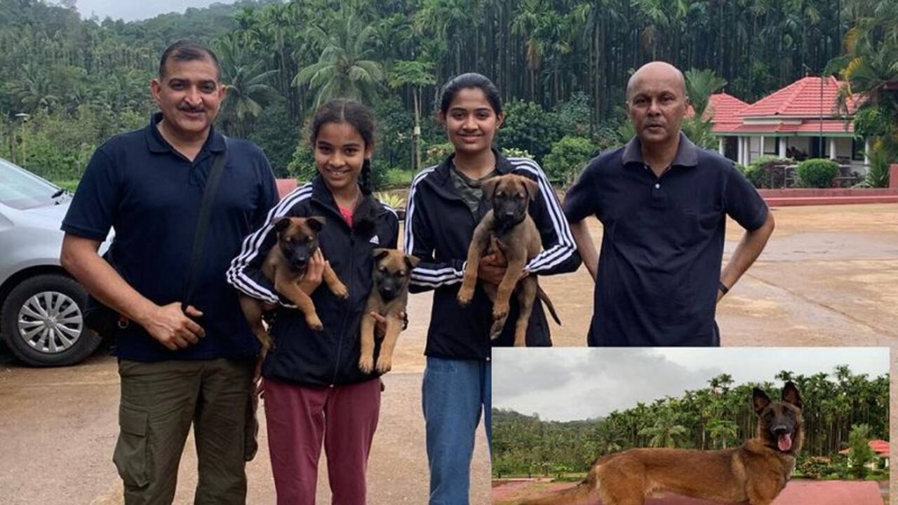 Karnataka: Belgian dog breed from Chikkamagaluru to serve as spy in Indian Army; check details