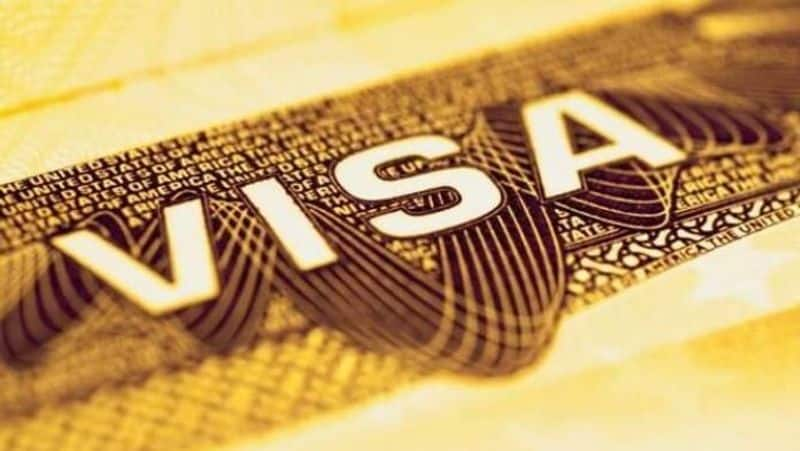 Indian student visa approvals hit all-time high: 90,000 by US Embassy in three months AVV