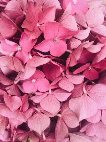 2. Flowers & decorations